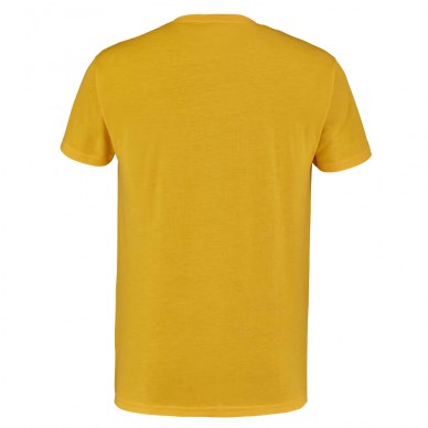 Camiseta Babolat Exercise Vintage Tee Men amarilla