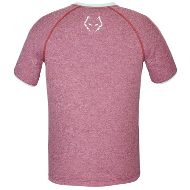 camiseta Babolat Crew Neck Tee Lebron roja