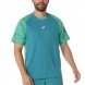 Camiseta Asics Court All Over Print SS Top verde azulado