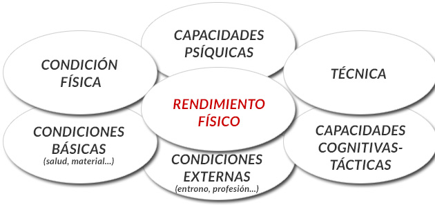 esquema-rendimiento-fisico