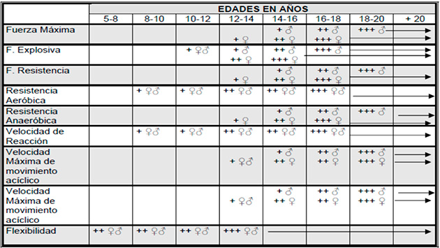 fases-sensible-niños