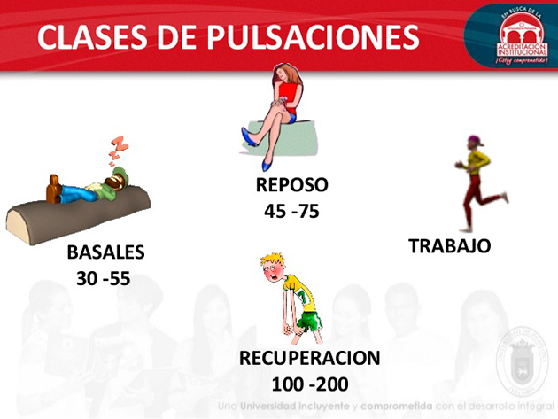 ¿Qué son las pulsaciones basales?