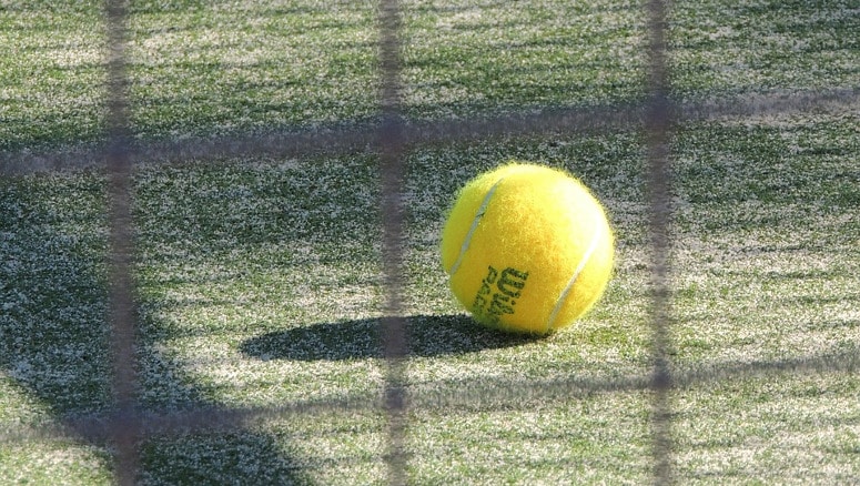 Cómo pueden afectarnos los diferentes tipos de pelotas de pádel? - Zona de  Padel